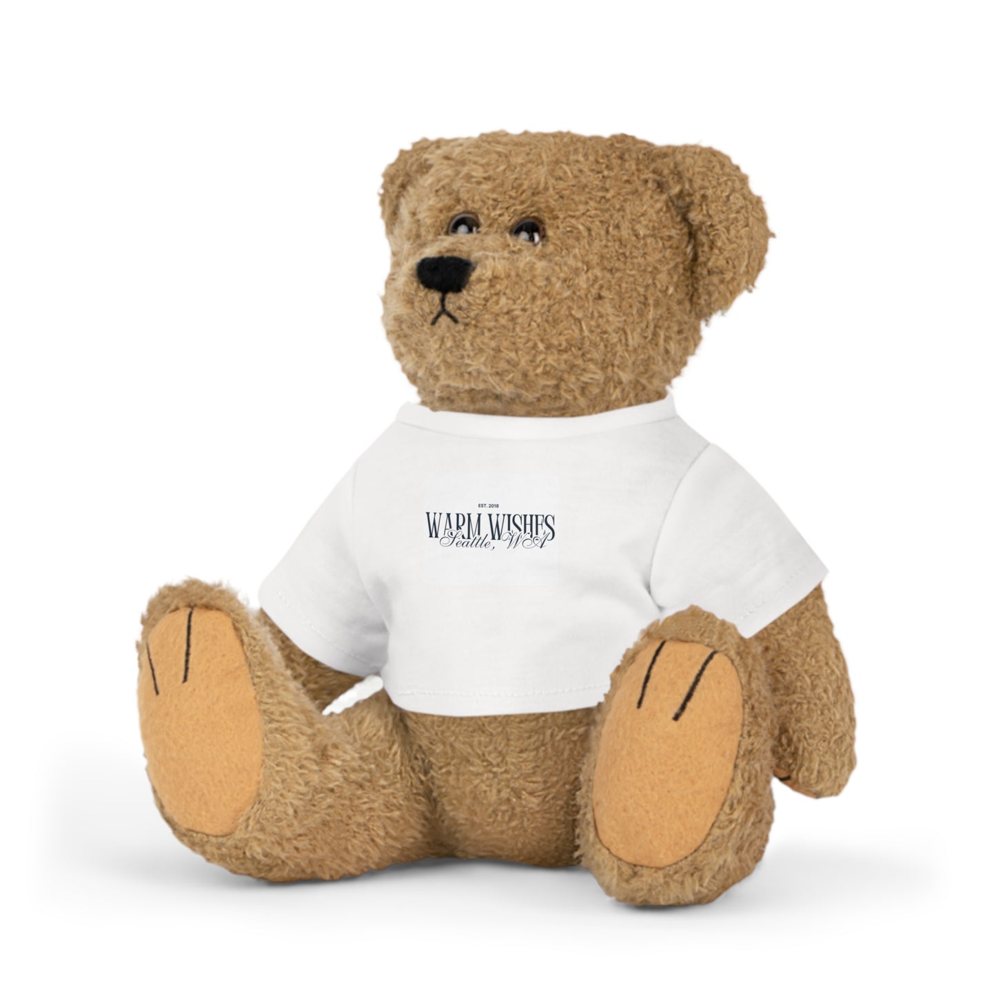 Warm Wishes Plush Teddy Bear Toy