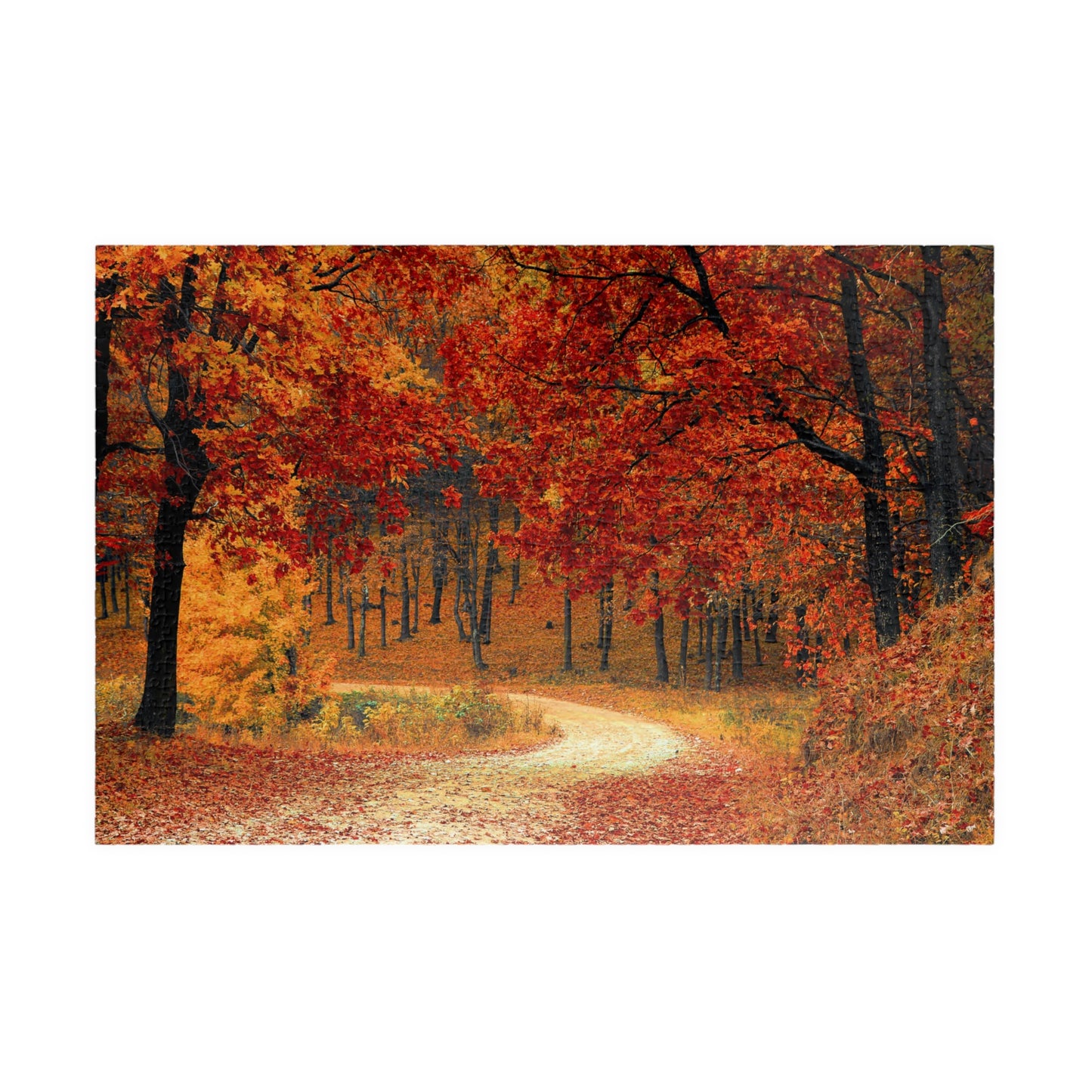 Jigsaw Puzzle - Fall Forest