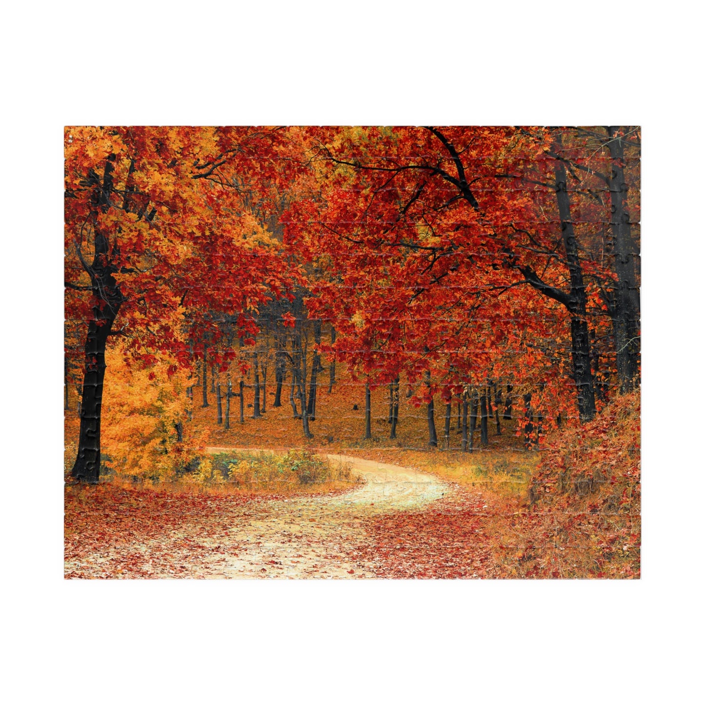 Jigsaw Puzzle - Fall Forest