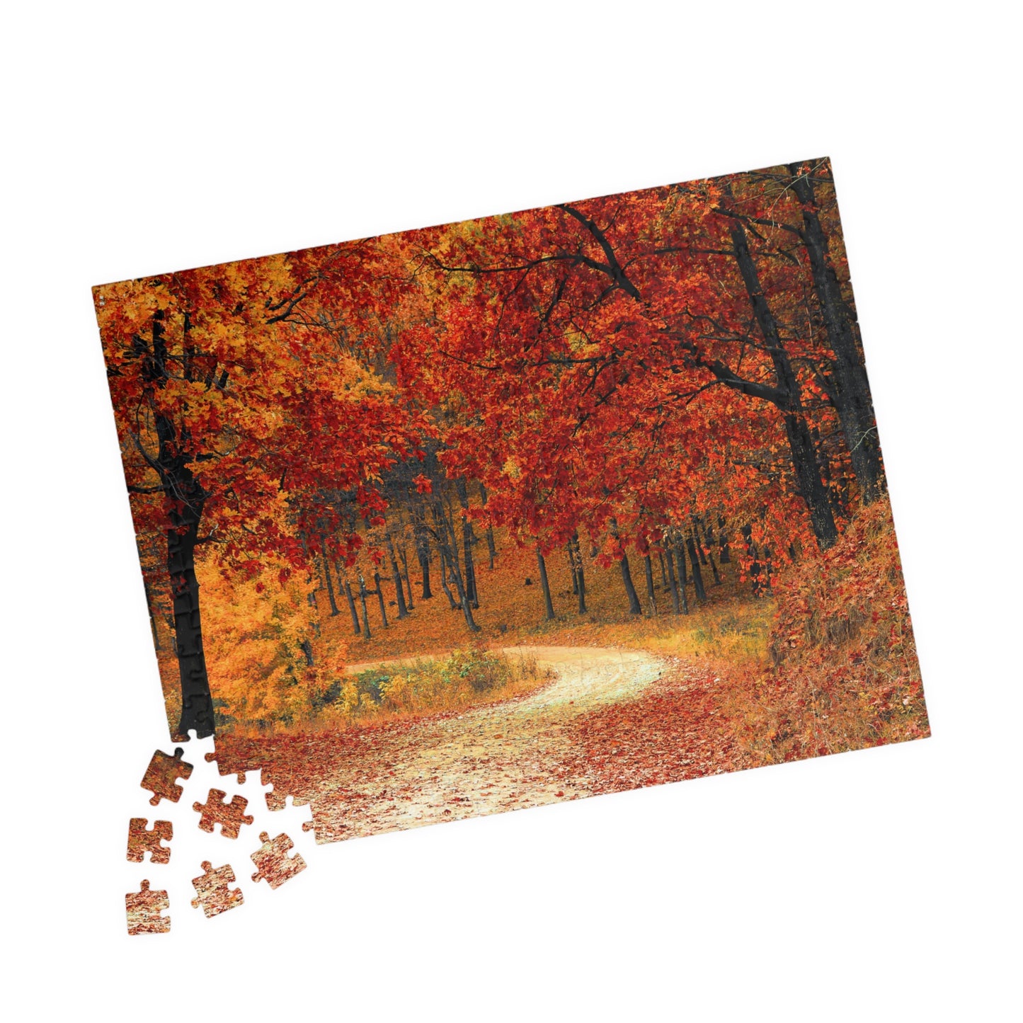 Jigsaw Puzzle - Fall Forest