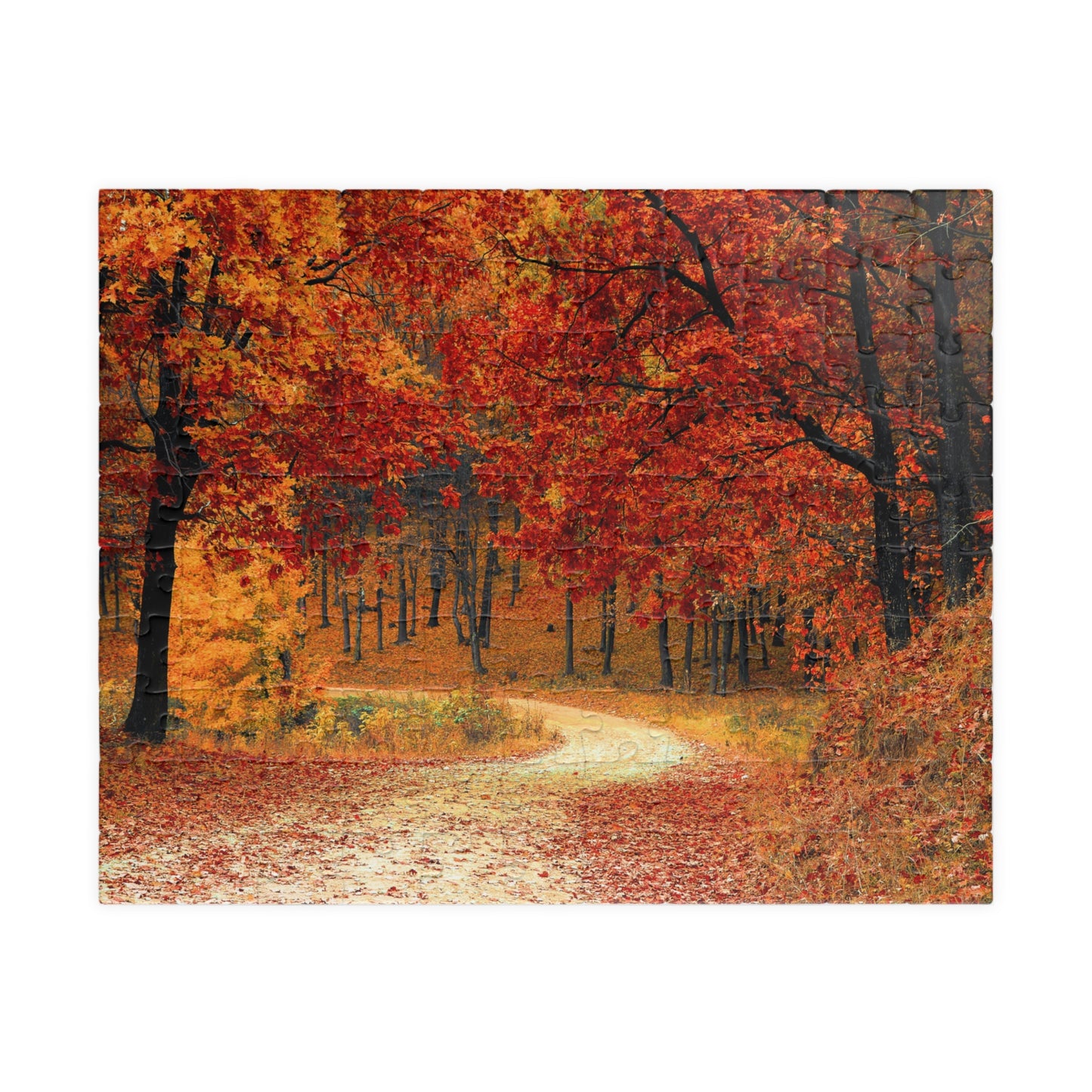 Jigsaw Puzzle - Fall Forest