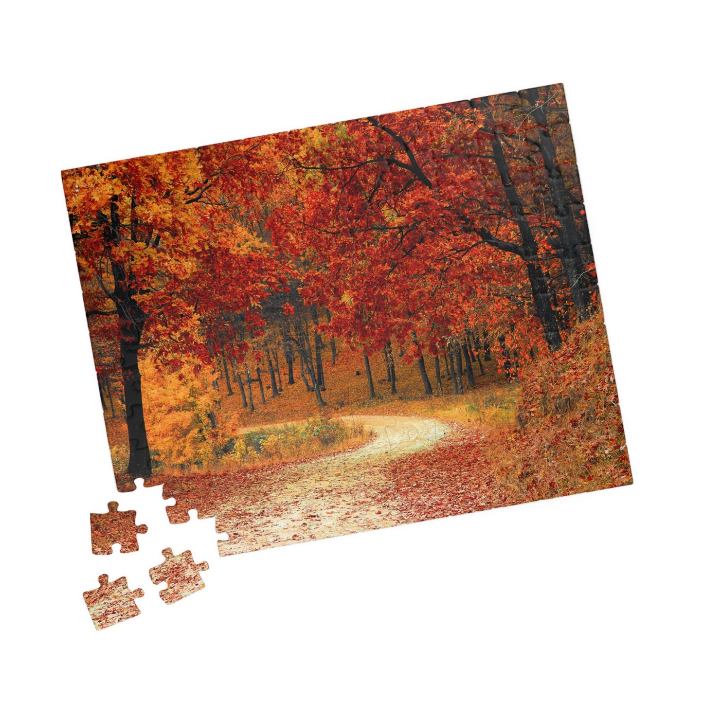 Jigsaw Puzzle - Fall Forest