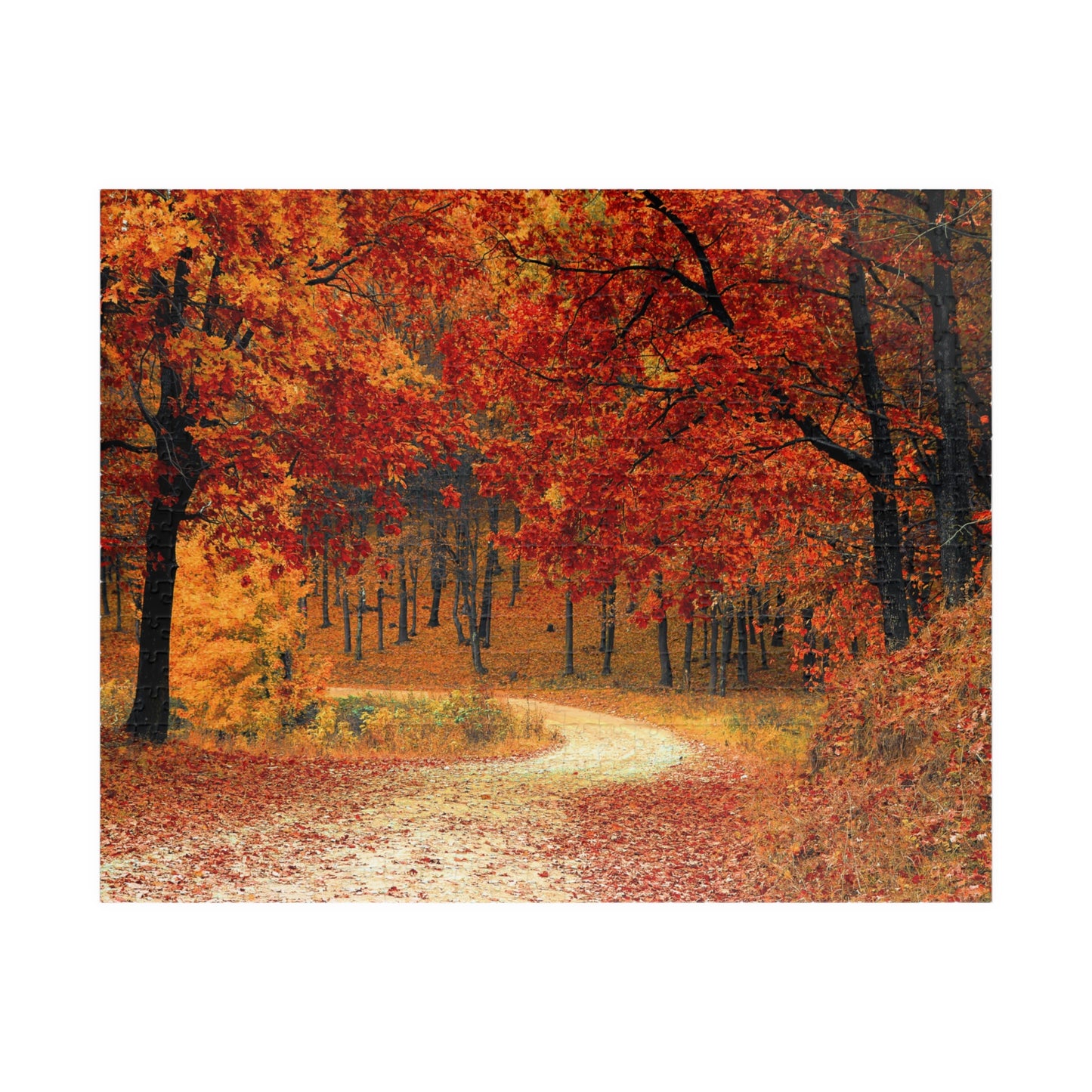 Jigsaw Puzzle - Fall Forest